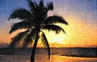 play Amajeto Tropic
