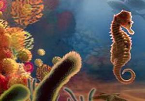 play Underwater Octopus Escape