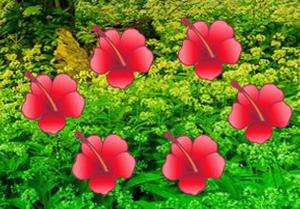 Tropical Flower Forest Escape