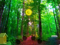 play Homey Forest Escape