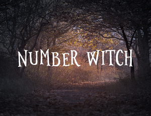 play Number Witch