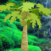 play Eastern Forest Escape