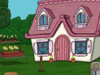 play Agile Boy Rescue