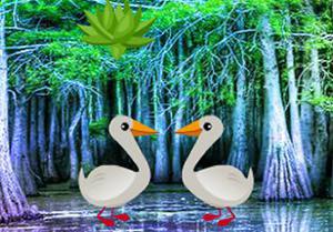play Duck Forest Escape
