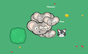 play Catmouse.Io