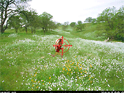 play Escape From Neverland