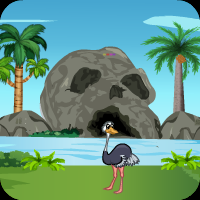 play Wild Ostrich Rescue