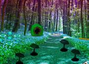 play Broadleaf Forest Escape