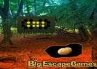 play Big Detached Forest Escape