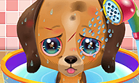 play Cutepuppy Care