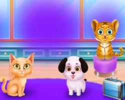 play Zoo Animal Hotel