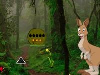 play Big Kangaroo Land Escape