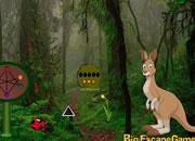 play Kangaroo Land Escape