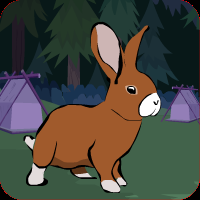 play Brown Bunny Rescue