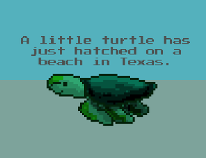 play A Little Turtle Has Just Hatched On A Beach In Texas.