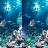 play Marine-Predators