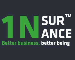 play 1Nsurance Inc.
