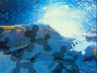 play Escape From White Seal Cave