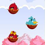 play Angry-Birds-Glasses