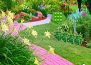 play Great Garden Plants Escape