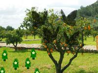 play Orange Tree Forest Escape