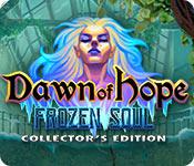 play Dawn Of Hope: The Frozen Soul Collector'S Edition