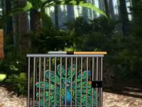 play 8B Peacock Escape