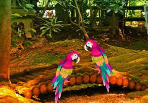 Scarlet Macaw Forest Escape