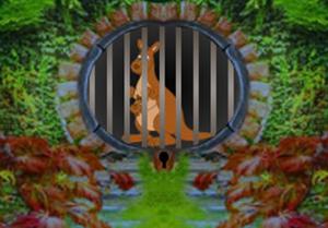 play Kangaroo Escape (8B Games