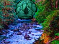 play Rhinoceros Forest Escape