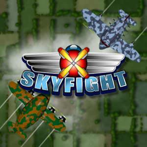 play Skyfight.Io
