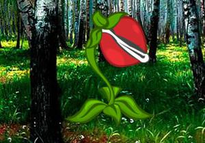 play Carnivorous Plants Forest Escape