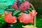 play Carnivorous Plants Forest Escape