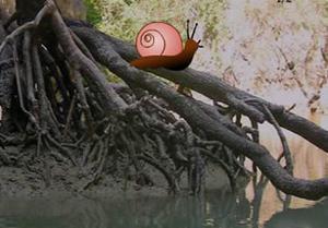 play Mangrove Forest Escape