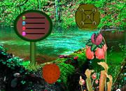 play Carnivorous Plants Forest Escape