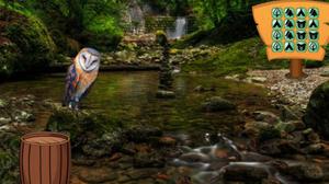 play Masked Owl Island Escape