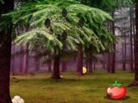 play Grove Escape