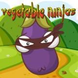 Vegetable Ninjas