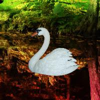 Escape From Swan Forest