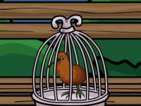 play Kiwi Bird Rescue