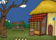 play Kiwi Bird Rescue