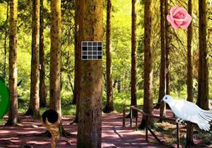 play White Pigeon Forest Escape