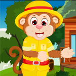 Simian Monkey Rescue