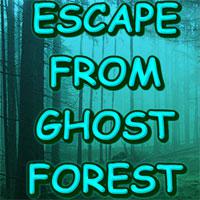Escape From Ghost Forest