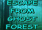 play Escape From Ghost Forest