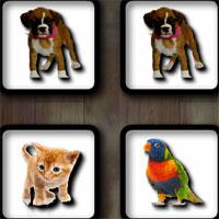 play Pets-Memory