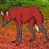 Maned Wolf Escape