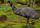 play Big Emu Forest Escape