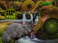 play Emu Forest Escape