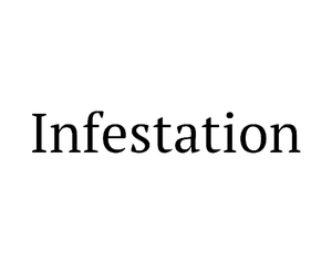 play Infestation